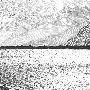 To develop project management competencies